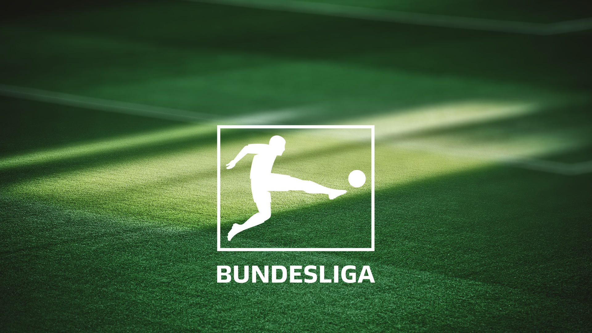 Hoffenheim - Leverkusen, Bundesliga, etapa a 7-a